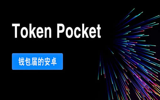 tp钱包地址怎么查询里面多少钱